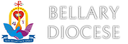 BDDS logo